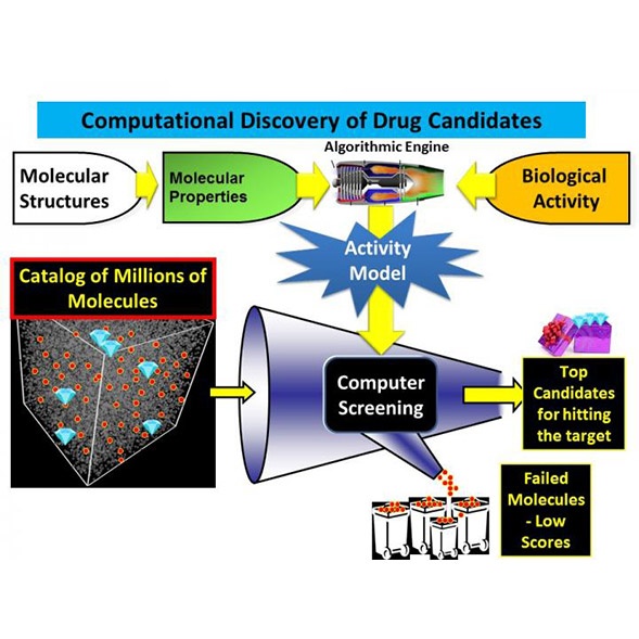 Featured image for “Evaluating toxicity of possible drug candidates, their analogs and metabolites”